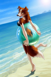 Size: 853x1280 | Tagged: safe, artist:hyhlion, oc, oc only, oc:salsa (hyhlion), border collie, canine, collie, dog, mammal, anthro, plantigrade anthro, ball, beach, bikini, brown eyes, clothes, cloud, eyelashes, fangs, female, fluff, lidded eyes, looking at you, looking back, ocean, open mouth, sand, sky, solo, solo female, swimsuit, tail, teeth, water