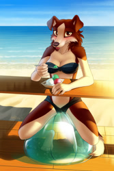 Size: 854x1280 | Tagged: safe, artist:hyhlion, oc, oc only, oc:salsa (hyhlion), border collie, canine, collie, dog, mammal, anthro, plantigrade anthro, ball, beach, bikini, blushing, breasts, brown eyes, cleavage, clothes, eating, eyelashes, female, fluff, food, ice cream, looking at you, mlem, ocean, sand, signature, sky, solo, solo female, spoon, swimsuit, tail, tongue, tongue out, water