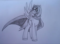 Size: 2407x1749 | Tagged: safe, artist:wollyshop, oc, oc only, oc:sky lionkin, equine, fictional species, mammal, pegasus, pony, feral, friendship is magic, hasbro, my little pony, 2013, black and white, cape, clothes, commission, feathered wings, feathers, glasses, grayscale, high res, male, mask, monochrome, pencil drawing, round glasses, scarf, simple background, solo, solo male, spread wings, stallion, sunglasses, tail, traditional art, white background, wings