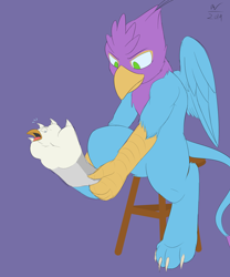 Size: 2500x3000 | Tagged: safe, artist:magicalfurry, oc, oc:der, oc:gyro feather, oc:gyro feather (gryphon), bird, feline, fictional species, galliform, gryphon, mammal, peacock gryphon, peafowl, feral, beak, bird feet, blue feathers, blue fur, claws, clothes, duo, feathered wings, feathers, fur, green eyes, high res, male, paws, pink feathers, socks, stool, tail, tail tuft, talons, transformation, wings