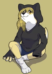 Size: 1280x1817 | Tagged: safe, artist:moonlightfan, oc, oc only, canine, dog, mammal, shiba inu, anthro, 2020, clothes, female, hair, hoodie, long hair, signature, simple background, socks, solo, solo female, tail, topwear, yellow background