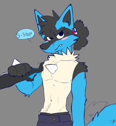 Size: 1536x1666 | Tagged: safe, artist:bactover, fictional species, lucario, mammal, anthro, nintendo, pokémon, ambiguous gender, belly button, black body, black fur, blue body, blue fur, blushing, bottomwear, cheek fluff, clothes, cream body, cream fur, cute, cute little fangs, duo, fangs, fluff, fur, gray background, gray body, hair, hand on arm, male, neck fluff, offscreen character, pants, paws, poke, poké ball, pubic fluff, simple background, solo focus, speech bubble, spike, sweat, tail, tail wag, talking, teeth