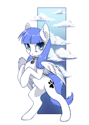 Size: 2480x3508 | Tagged: safe, artist:arctic-fox, oc, oc only, oc:snow pup, equine, fictional species, mammal, pegasus, pony, feral, friendship is magic, hasbro, my little pony, 2018, collar, cutie mark, female, high res, mare, pet tag, rearing, simple background, solo, solo female