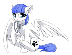 Size: 3416x2624 | Tagged: safe, artist:kxttponies, oc, oc only, oc:snow pup, equine, fictional species, mammal, pegasus, pony, feral, friendship is magic, hasbro, my little pony, commission, cutie mark, female, high res, holding, leash, mare, mouth hold, raised hoof, simple background, sitting, solo, solo female, spread wings, transparent background, wings, ych result