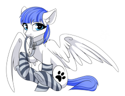 Size: 3416x2624 | Tagged: dead source, safe, artist:kxttponies, oc, oc only, oc:snow pup, equine, fictional species, mammal, pegasus, pony, feral, friendship is magic, hasbro, my little pony, clothes, commission, cutie mark, female, high res, holding, leash, legwear, mare, mouth hold, raised hoof, simple background, sitting, socks, solo, solo female, spread wings, striped clothes, striped legwear, transparent background, wings, ych result