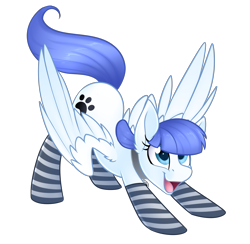 Size: 3964x3874 | Tagged: safe, alternate version, artist:scarlet-spectrum, edit, oc, oc only, oc:snow pup, equine, fictional species, mammal, pegasus, pony, feral, friendship is magic, hasbro, my little pony, 2018, clothes, collar, commission, cutie mark, female, high res, legwear, open mouth, simple background, socks, solo, solo female, spread wings, striped clothes, striped legwear, transparent background, wings, ych result