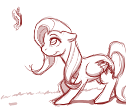 Size: 2645x2267 | Tagged: safe, artist:silent-nona-light, fluttershy (mlp), arthropod, butterfly, equine, fictional species, insect, mammal, pegasus, pony, feral, friendship is magic, hasbro, my little pony, 2011, cutie mark, female, high res, sketch, solo, solo female