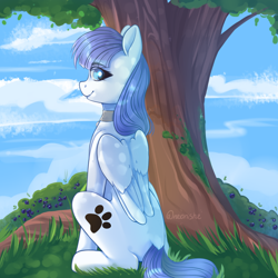 Size: 2000x2000 | Tagged: safe, artist:neonishe, oc, oc only, oc:snow pup, equine, fictional species, mammal, pegasus, pony, feral, friendship is magic, hasbro, my little pony, collar, commission, cutie mark, female, high res, looking at you, looking back, looking back at you, sitting, solo, solo female, tree, ych result