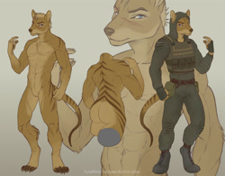 Size: 1024x800 | Tagged: safe, artist:kiririn-chan, oc, oc only, oc:terry (terrythetazzytiger), mammal, marsupial, thylacine, anthro, digitigrade anthro, s.t.a.l.k.e.r., abs, belt, blue eyes, butt, claws, clothes, featureless crotch, fluff, front view, hair, leg fluff, male, muscles, paw pads, paws, picture-in-picture, raised hand, rear view, reference sheet, scar, shoes, solo, solo male, tail, three-quarter view, topwear, vest