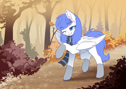 Size: 3508x2480 | Tagged: safe, artist:arctic-fox, oc, oc only, oc:snow pup, equine, fictional species, mammal, pegasus, pony, feral, friendship is magic, hasbro, my little pony, autumn, boots, clothes, female, high res, leaf, one eye closed, scarf, scenery, shoes, smiling, solo, solo female, walking