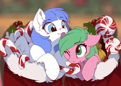 Size: 3508x2480 | Tagged: safe, artist:arctic-fox, oc, oc only, oc:pine berry, oc:snow pup, earth pony, equine, fictional species, mammal, pegasus, pony, feral, friendship is magic, hasbro, my little pony, candy, candy cane, christmas, christmas stocking, clothes, duo, female, floppy ears, food, high res, holiday, holly, mints, nibbling, playful