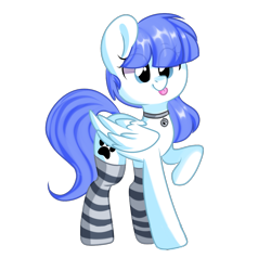 Size: 1200x1200 | Tagged: safe, artist:thieftea, oc, oc only, oc:snow pup, equine, fictional species, mammal, pegasus, pony, feral, friendship is magic, hasbro, my little pony, clothes, collar, female, legwear, lifted leg, mare, simple background, socks, solo, solo female, standing, striped clothes, striped legwear, thigh highs, tongue, tongue out, transparent background