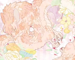 Size: 2048x1638 | Tagged: safe, artist:mee0118, dragon, feathered dragon, fictional species, sakurai, feral, ambiguous gender, bird feet, ear fluff, eyes closed, feathers, flower, fluff, hair, solo, solo ambiguous