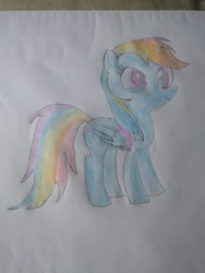 Size: 780x1040 | Tagged: safe, artist:martin, rainbow dash (mlp), equine, fictional species, mammal, pegasus, pony, feral, friendship is magic, hasbro, my little pony, 2020, atg 2020, feathered wings, feathers, female, folded wings, hair, mare, newbie artist training grounds, paper, rainbow hair, rainbow mane, simple background, smiling, solo, solo female, tail, traditional art, white background, wings