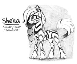 Size: 963x807 | Tagged: safe, artist:aureai, oc, oc only, oc:sheila, equine, mammal, zebra, feral, friendship is magic, hasbro, my little pony, ear fluff, female, fluff, hair, happy, hooves, mane, simple background, sketch, smiling, solo, solo female, standing, stripes, tail, white background