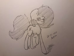 Size: 1032x774 | Tagged: safe, artist:dfk20, oc, oc only, earth pony, equine, fictional species, mammal, pony, feral, friendship is magic, hasbro, my little pony, 2020, atg 2020, black and white, female, grayscale, mare, monochrome, newbie artist training grounds, one hoof raised, paper, pencil drawing, simple background, solo, solo female, tail, traditional art, white background