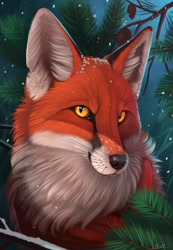 Size: 888x1280 | Tagged: safe, artist:yakovlev-vad, oc, oc only, canine, fox, mammal, red fox, feral, ambiguous gender, branch, cheek fluff, clothes, ear fluff, fluff, looking at you, neck fluff, orange eyes, pinecone, scarf, signature, slit pupils, snow, solo, solo ambiguous, whiskers, yellow eyes