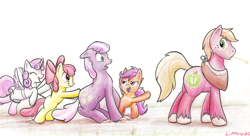 Size: 2450x1335 | Tagged: safe, artist:braeburned, apple bloom (mlp), big macintosh (mlp), cheerilee (mlp), scootaloo (mlp), sweetie belle (mlp), earth pony, equine, fictional species, mammal, pony, feral, friendship is magic, hasbro, my little pony, 2012, bow, cheerimac (mlp), clothes, cutie mark, cutie mark crusaders (mlp), fake wings, female, filly, floppy ears, foal, green eyes, group, hair, holding, hoof on butt, hooves, horse collar, male, male/female, mare, mouth hold, open mouth, pointing, pushing, rump push, shipper on deck, shipping, side view, simple background, size difference, socks, stallion, tail, traditional art, unshorn fetlocks, white background, young