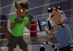Size: 1280x902 | Tagged: safe, artist:moonlightfan, oc, big cat, canine, feline, mammal, tiger, wolf, anthro, amber eyes, bottomwear, boxing, boxing gloves, boxing ring, clothes, colored pupils, duo, female, fluff, fur, gloves, looking at each other, looking at something, male, paws, shorts, signature, simple background, sports shorts, tail