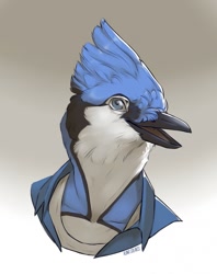 Size: 1013x1280 | Tagged: safe, artist:runasolaris, bird, blue jay, corvid, jay, songbird, anthro, ambiguous gender, beak, bust, clothes, feathers, gradient background, open mouth, portrait, solo, solo ambiguous