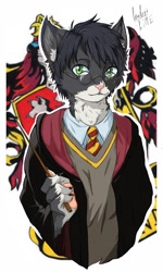 Size: 768x1280 | Tagged: safe, artist:blue_formalin, harry potter (harry potter), cat, feline, mammal, anthro, harry potter (series), wizarding world, 2016, glasses, magic wand, male, round glasses, signature, simple background, solo, solo male, species swap, wand, white background