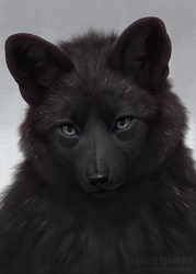 Size: 680x951 | Tagged: safe, artist:chiakiro, canine, fox, mammal, feral, lifelike feral, ambiguous gender, blue eyes, fluff, looking at you, non-sapient, realistic, signature, simple background, solo, solo ambiguous, watermark