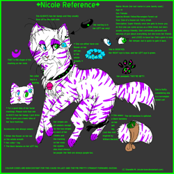 Size: 850x850 | Tagged: safe, artist:nicole-lune, oc, oc only, oc:nicole (nicole-lune), cat, feline, mammal, norwegian forest cat, feral, 2008, blue eyes, cheek fluff, english text, female, fluff, gray background, green eyes, looking at you, oekaki, paw pads, paws, reference sheet, signature, simple background, solo, solo female, tail, text, watermark