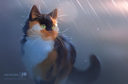 Size: 700x460 | Tagged: safe, artist:apofiss, cat, feline, mammal, feral, lifelike feral, 2020, abstract background, ambiguous gender, black fur, english text, fluff, fur, green eyes, non-sapient, orange fur, patreon logo, rain, realistic, signature, slit pupils, solo, solo ambiguous, text, three-quarter view, watermark, whiskers, white fur