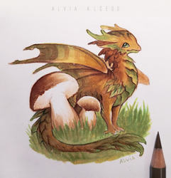 Size: 960x995 | Tagged: safe, artist:alviaalcedo, dragon, fictional species, reptile, scaled dragon, western dragon, feral, ambiguous gender, claws, colored pencil drawing, english text, grass, mushroom, signature, simple background, solo, solo ambiguous, tail, text, watermark, white background, wings