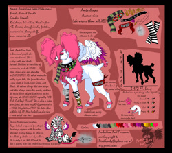 Size: 1362x1213 | Tagged: safe, artist:pinkscooby54, oc, oc only, oc:amberlina (pinkscooby54), oc:raya (pinkscooby54), dog, equine, mammal, poodle, zebra, feral, 2008, female, french poodle, fur, glamfur, oekaki, pink background, pink fur, reference sheet, scene fashion, signature, simple background, solo, solo female, watermark, white fur