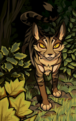 Size: 768x1224 | Tagged: safe, artist:akirow, oc, oc only, cat, feline, mammal, feral, warrior cats, amber eyes, ambiguous gender, brown fur, fur, grass, leaf, looking at you, solo, solo ambiguous, stone