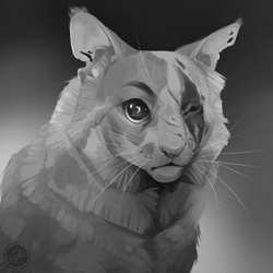 Size: 1080x1080 | Tagged: safe, artist:geelly, brightheart (warrior cats), cat, feline, mammal, feral, warrior cats, cheek fluff, female, fluff, gradient background, grayscale, looking at you, monochrome, neck fluff, scar, solo, solo female, three-quarter view