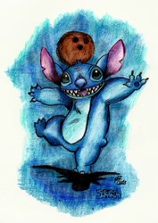 Size: 929x1313 | Tagged: safe, artist:pridealchemist7, stitch (lilo & stitch), alien, experiment (lilo & stitch), fictional species, semi-anthro, disney, lilo & stitch, 2013, 4 fingers, balancing, blue fur, coconut, ears, fur, male, on one leg, open mouth, open smile, short tail, smiling, solo, solo male, tail, torn ear, traditional art
