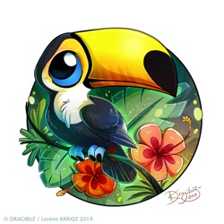 Size: 800x800 | Tagged: safe, artist:dragibuz, bird, toco toucan, toucan, feral, ambiguous gender, beak, black feathers, branch, chibi, claws, digital art, feathered wings, feathers, flower, folded wings, leaf, orange feathers, perching, signature, simple background, solo, solo ambiguous, tail, tail feathers, talons, white background, white feathers, wings