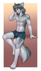 Size: 553x952 | Tagged: safe, artist:lockworkorange, oc, oc only, oc:scr3amjack, canine, mammal, anthro, plantigrade anthro, boxers, bulge, cheek fluff, claws, clothes, crotch bulge, ear fluff, ears, fluff, front view, gradient background, green eyes, hair, looking at you, male, paws, sitting, smiling, solo, solo male, tail, tail fluff, underpaw, underwear
