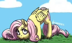 Size: 1158x690 | Tagged: safe, artist:draneas, fluttershy (mlp), equine, fictional species, mammal, pegasus, pony, feral, friendship is magic, hasbro, my little pony, eating, female, grass, grazing, herbivore, mare, plant, solo, solo female, wings