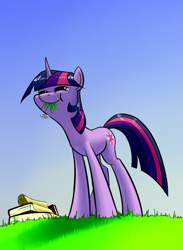 Size: 1157x1582 | Tagged: safe, artist:underpable, twilight sparkle (mlp), equine, fictional species, mammal, pony, unicorn, feral, friendship is magic, hasbro, my little pony, book, books, cute, ears, female, flower, grass, grazing, hair, herbivore, hooves, horn, looking at something, low angle, mane, mare, outdoors, sky, smiling, solo, solo female, standing, tail