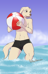 Size: 1200x1855 | Tagged: safe, artist:punkpega, jack (beastars), canine, dog, labrador, mammal, anthro, beastars, ball, beach ball, belly button, bulge, clothes, ears, floppy ears, fluff, front view, fur, holding, male, ocean, open mouth, outdoors, partial nudity, signature, solo, solo male, standing, standing in water, swimsuit, tail, tail fluff, teeth, topless, water, wet