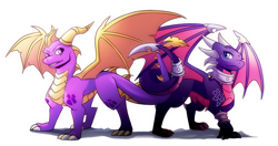 Size: 1000x527 | Tagged: safe, artist:dahliawilder, cynder the dragon (spyro), spyro the dragon (spyro), dragon, fictional species, reptile, scaled dragon, western dragon, feral, spyro the dragon (series), the legend of spyro, 2d, claws, commission, duo, female, horns, intertwined tails, looking at each other, male, shipping, simple background, spines, spynder (spyro), standing, tail, white background, wings, wraps