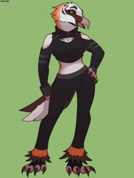Size: 2700x3600 | Tagged: safe, artist:rexumin, bird, bird of prey, vulture, anthro, beak, clothes, female, high res, solo, solo female, tail