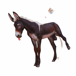 Size: 750x750 | Tagged: suggestive, artist:chistokrovka, oc, oc only, oc:diego (nolovehusky), donkey, equine, mammal, feral, lifelike feral, 2020, animal genitalia, balls, big balls, blep, blue eyes, brown fur, digital art, ear fluff, fluff, front view, fur, hair, hooves, looking at you, male, mane, non-sapient, nudity, presenting, raised leg, realistic, sheath, sheathed, signature, simple background, solo, solo male, standing, tail, three-quarter view, tongue out, white background, white fur, white hair