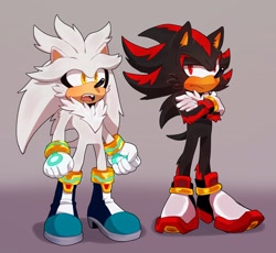 Size: 2048x1881 | Tagged: safe, artist:bongwater777, shadow the hedgehog (sonic), silver the hedgehog (sonic), hedgehog, mammal, anthro, sega, sonic the hedgehog (series), 2020, amber eyes, black fur, black tail, boots, cheek fluff, chest fluff, clothes, crossed arms, digital art, duo, duo male, fangs, fluff, frowning, fur, gloves, gray background, gray fur, gray tail, male, males only, open mouth, quills, red eyes, sharp teeth, shoes, short tail, simple background, sneakers, tail, teeth