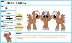 Size: 1287x772 | Tagged: safe, artist:royal-snowflake, oc, oc only, oc:moose tracks, equine, fictional species, mammal, pegasus, pony, feral, friendship is magic, hasbro, my little pony, feathered wings, feathers, male, reference sheet, smiling, solo, solo male, stallion, tail, wings