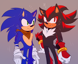 Size: 2589x2133 | Tagged: safe, artist:bongwater777, shadow the hedgehog (sonic), sonic the hedgehog (sonic), hedgehog, mammal, anthro, sega, sonic boom (series), sonic the hedgehog (series), 2020, annoyed, black tail, blue fur, blue tail, blushing, cheek fluff, chest fluff, clothes, digital art, duo, duo male, fangs, fluff, fur, gloves, gray background, green eyes, hand on hip, high res, looking away, male, males only, quills, red eyes, red fur, scarf, sharp teeth, short tail, simple background, sports tape, tail, teeth