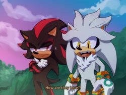 Size: 2412x1816 | Tagged: safe, artist:bongwater777, shadow the hedgehog (sonic), silver the hedgehog (sonic), hedgehog, mammal, anthro, sega, sonic the hedgehog (series), 2020, amber eyes, annoyed, black fur, black tail, boots, chest fluff, clothes, cloud, crossed arms, dialogue, digital art, duo, duo male, english text, fangs, fluff, fur, gloves, gray fur, lidded eyes, male, males only, open mouth, outdoors, quills, red eyes, sharp teeth, shoes, short tail, sky, sweatdrop, tail, talking, teeth, text, tree