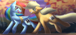 Size: 2835x1319 | Tagged: safe, artist:cumulussapphir3, applejack (mlp), rainbow dash (mlp), earth pony, equine, fictional species, mammal, pegasus, pony, feral, friendship is magic, hasbro, my little pony, duo, duo female, eye through hair, feathered wings, feathers, female, folded wings, green eyes, grin, hair, hooves, lineless, looking at each other, magenta eyes, mare, messy mane, running, tail, watermark, wings
