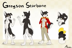 Size: 1280x851 | Tagged: safe, artist:aseethe, oc, oc only, oc:grayson starbone, border collie, canine, dog, mammal, anthro, digitigrade anthro, abstract background, black fur, bottomwear, butt, cheek fluff, chest fluff, claws, clothes, color palette, ear fluff, featureless crotch, floppy ears, fluff, front view, fur, head fluff, looking sideways, male, nudity, pants, paws, pubic fluff, raised hand, rear view, reference sheet, signature, solo, solo male, standing, story included, tail, tail fluff, three-quarter view, white fur, yellow eyes