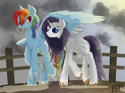 Size: 2700x2000 | Tagged: safe, artist:thenornonthego, rainbow dash (mlp), rarity (mlp), equine, fictional species, mammal, pegasus, pony, unicorn, feral, friendship is magic, hasbro, my little pony, covering, duo, duo female, feathered wings, feathers, female, female/female, fence, high res, horn, mare, mud, rain, raridash (mlp), shipping, tail, wet, wings
