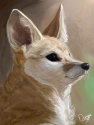 Size: 1200x1600 | Tagged: safe, artist:dangui, canine, fennec fox, fox, mammal, feral, lifelike feral, 2020, abstract background, ambiguous gender, black eyes, bust, digital art, ear fluff, fluff, front view, fur, non-sapient, realistic, signature, solo, solo ambiguous, tan fur, three-quarter view, whiskers, white fur