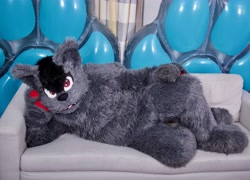 Size: 5143x3694 | Tagged: safe, artist:ceilfox, artist:dratze, oc, oc only, oc:catesh, cat, feline, mammal, anthro, bat cat, couch, fangs, female, fullsuit, fur, fursuit, gray body, gray fur, inflatable toy, irl, lying down, on side, paw pads, paws, photo, red eyes, sharp teeth, solo, solo female, teeth, whiskers